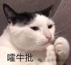 量子物理学家称Claude 3能搞科研,门萨测试获101分-第30张图片-世界杯直播平台-世界杯2026直播平台-免费观看官方-V3.6.9 量子物理学家称Claude 3能搞科研,门萨测试获101分-第30张图片-世界杯直播平台-世界杯2026直播平台-免费观看官方-V3.6.9